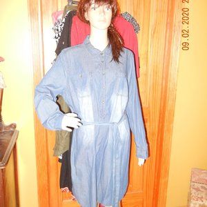 Casual Work Day Denim Tunic Dress sz XL 16/18 (wd15)